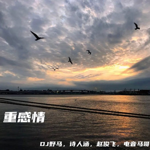 日韩情色一区二区四区
